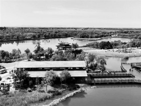 淄博市桓台县的马踏湖国家湿地公园内碧波荡漾。这片曾因污染沦为“酱油湖”的湿地,历经十余年治理,如今重现草长莺飞的生态美景。新华社发